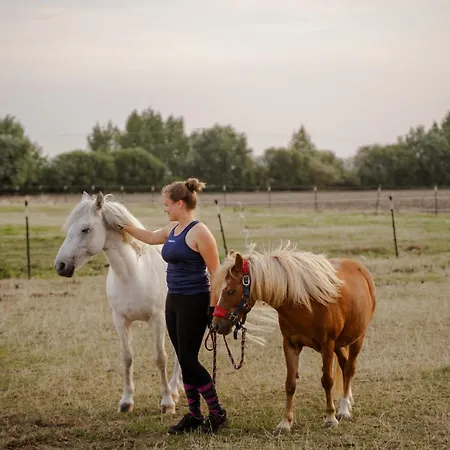 Omas Haus * Staberdorf
