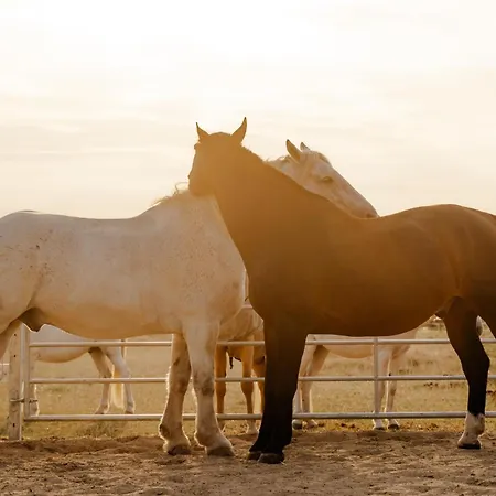 Omas Haus Hébergement de vacances Staberdorf