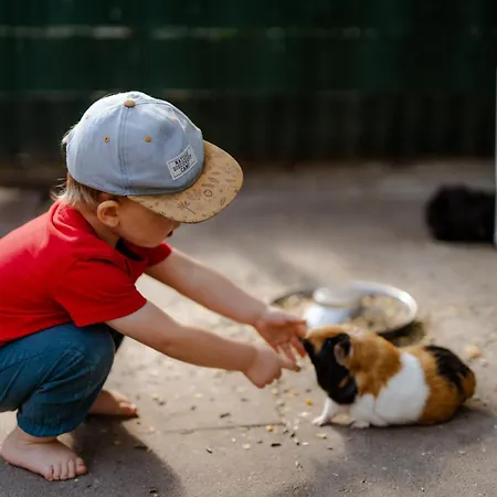 Omas Haus * Staberdorf
