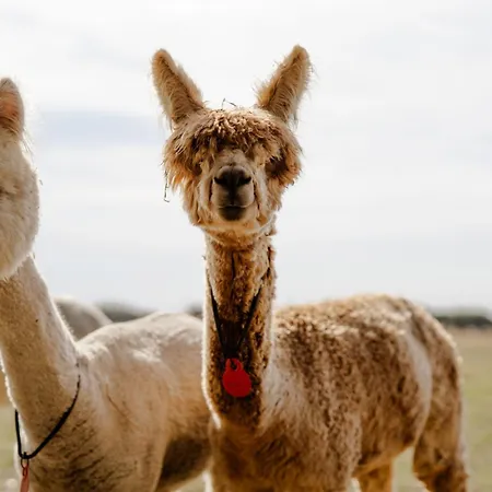 Omas Haus * Staberdorf