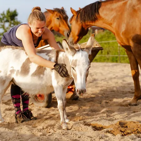 度假居 Omas Haus *