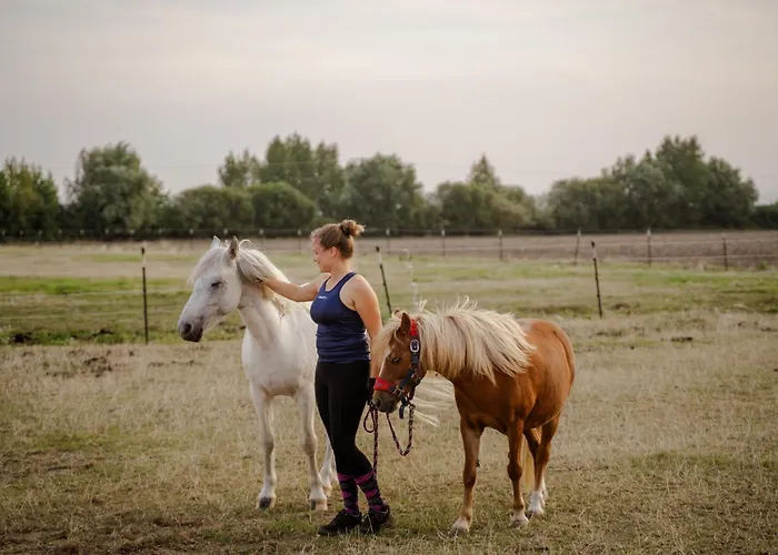 Omas Haus * Staberdorf