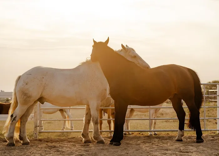 Omas Haus بيت للعطل Staberdorf
