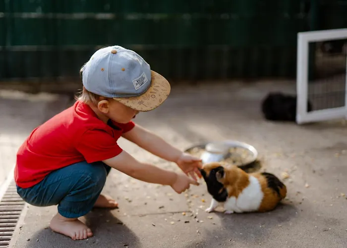 Omas Haus * Staberdorf