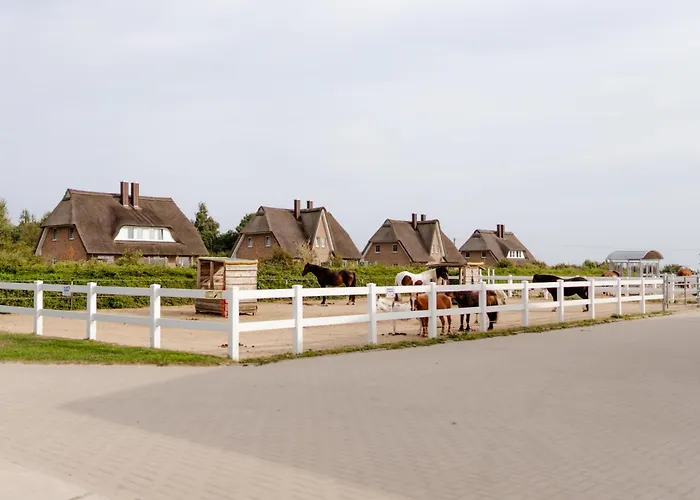 بيت للعطل Omas Haus Staberdorf