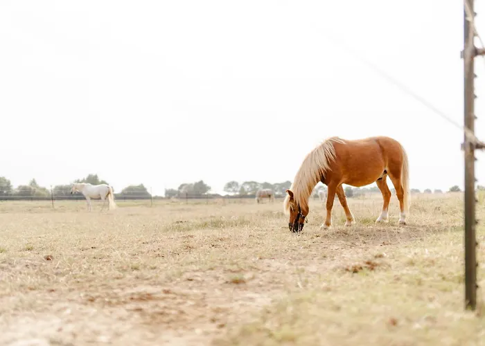 بيت للعطل Omas Haus