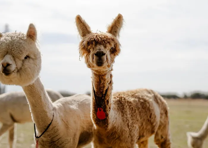 Omas Haus * Staberdorf