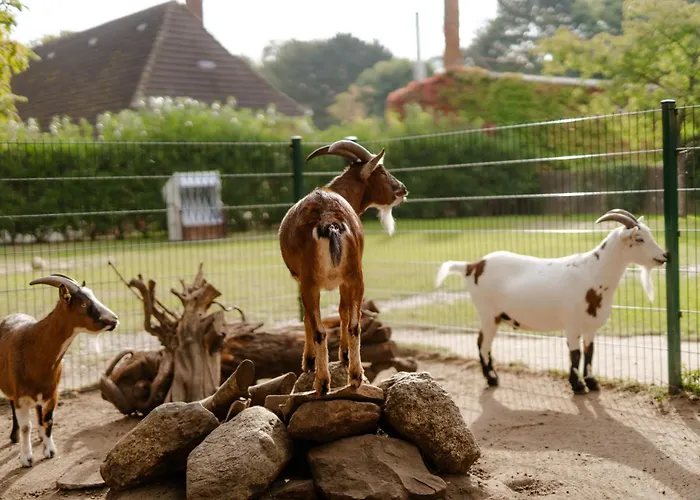 Omas Haus بيت للعطل