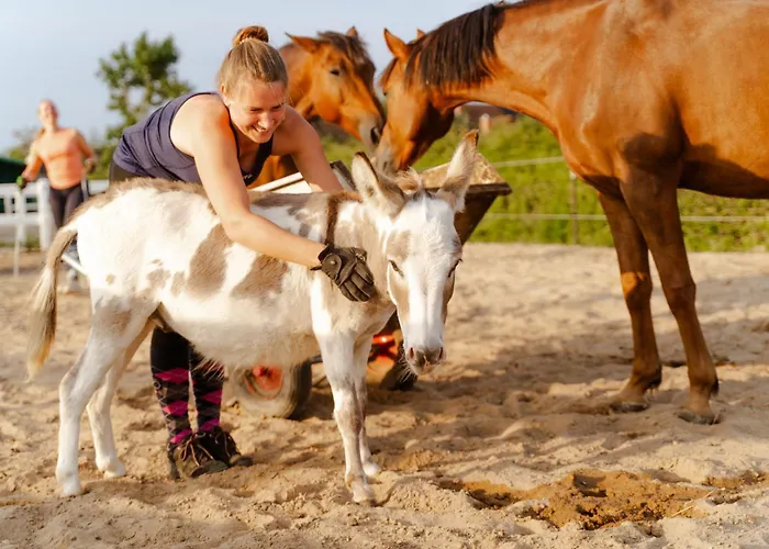 بيت للعطل Omas Haus *