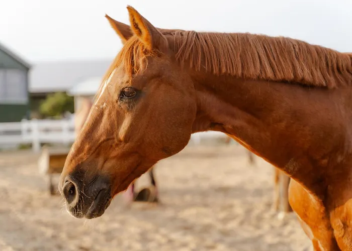 Omas Haus Staberdorf